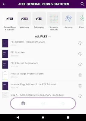 FEI RuleApp android App screenshot 2